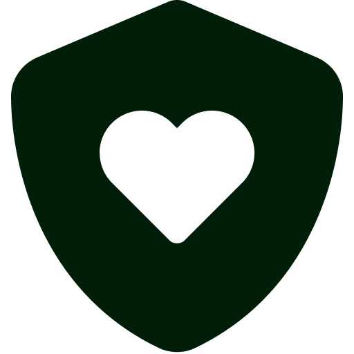 security icon